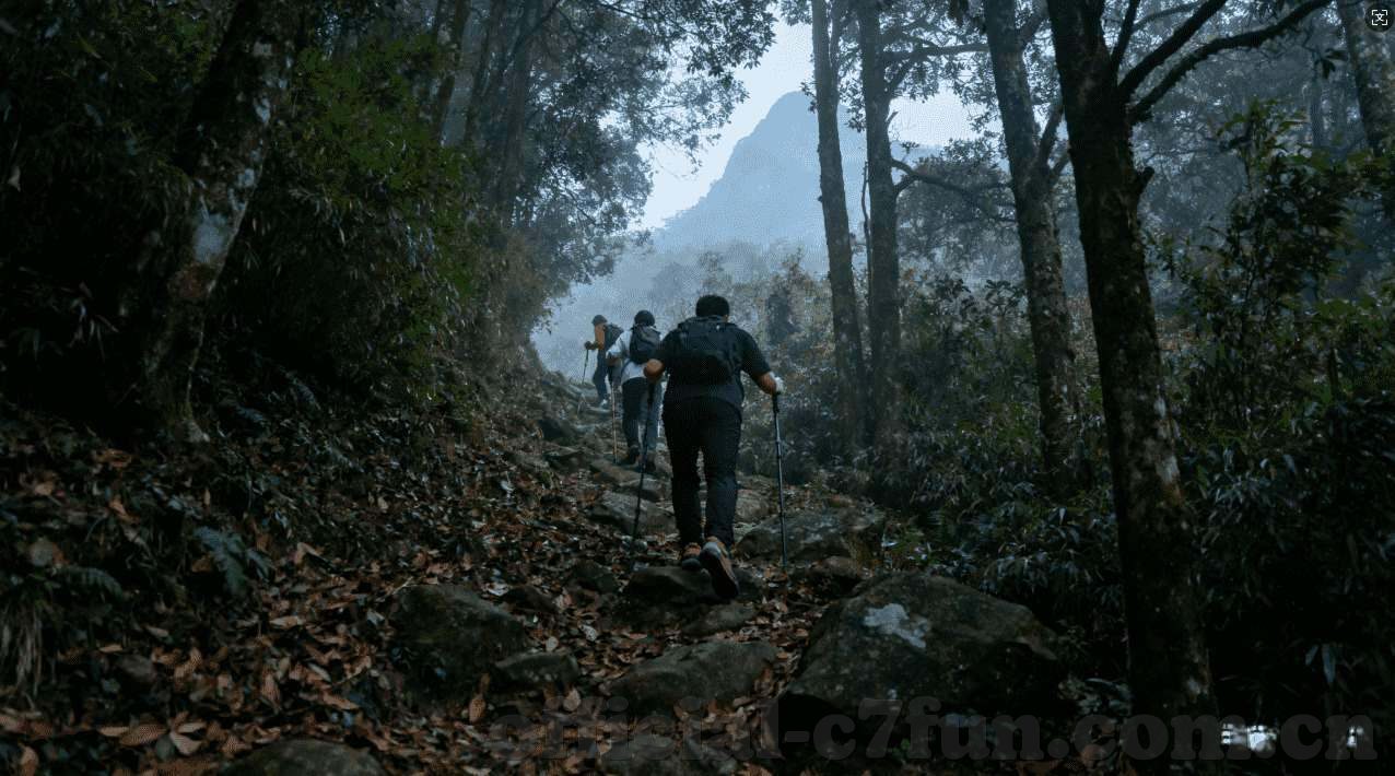 德州扑克经典教材-德州扑克经典教材，策略与技巧的深度剖析